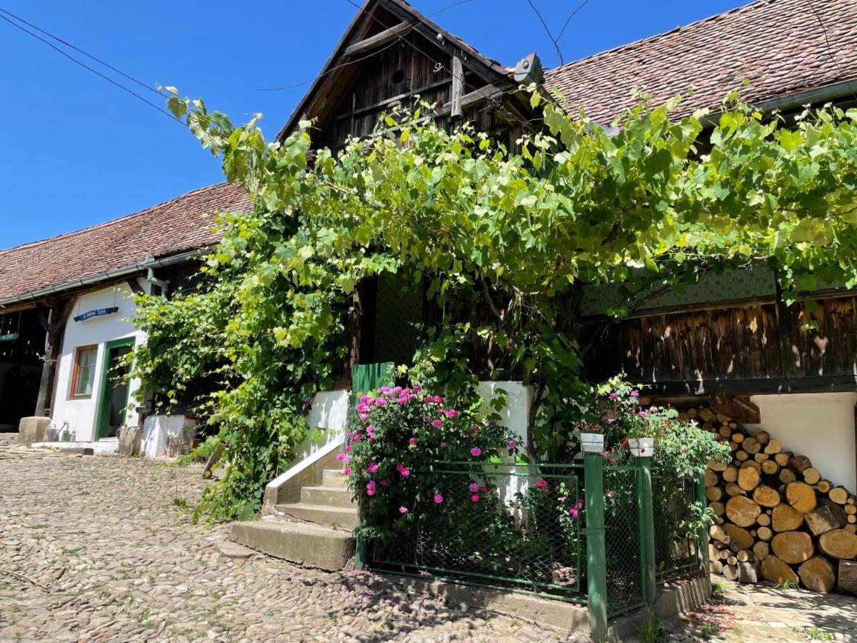 Saschiz 130/Lodging And Glamping المظهر الخارجي الصورة