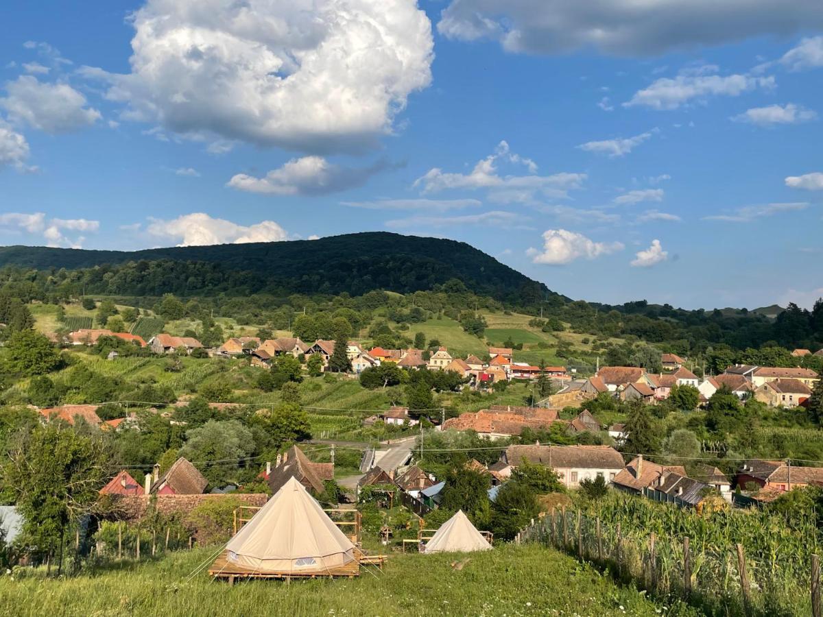 Saschiz 130/Lodging And Glamping المظهر الخارجي الصورة