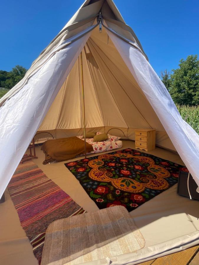 Saschiz 130/Lodging And Glamping المظهر الخارجي الصورة