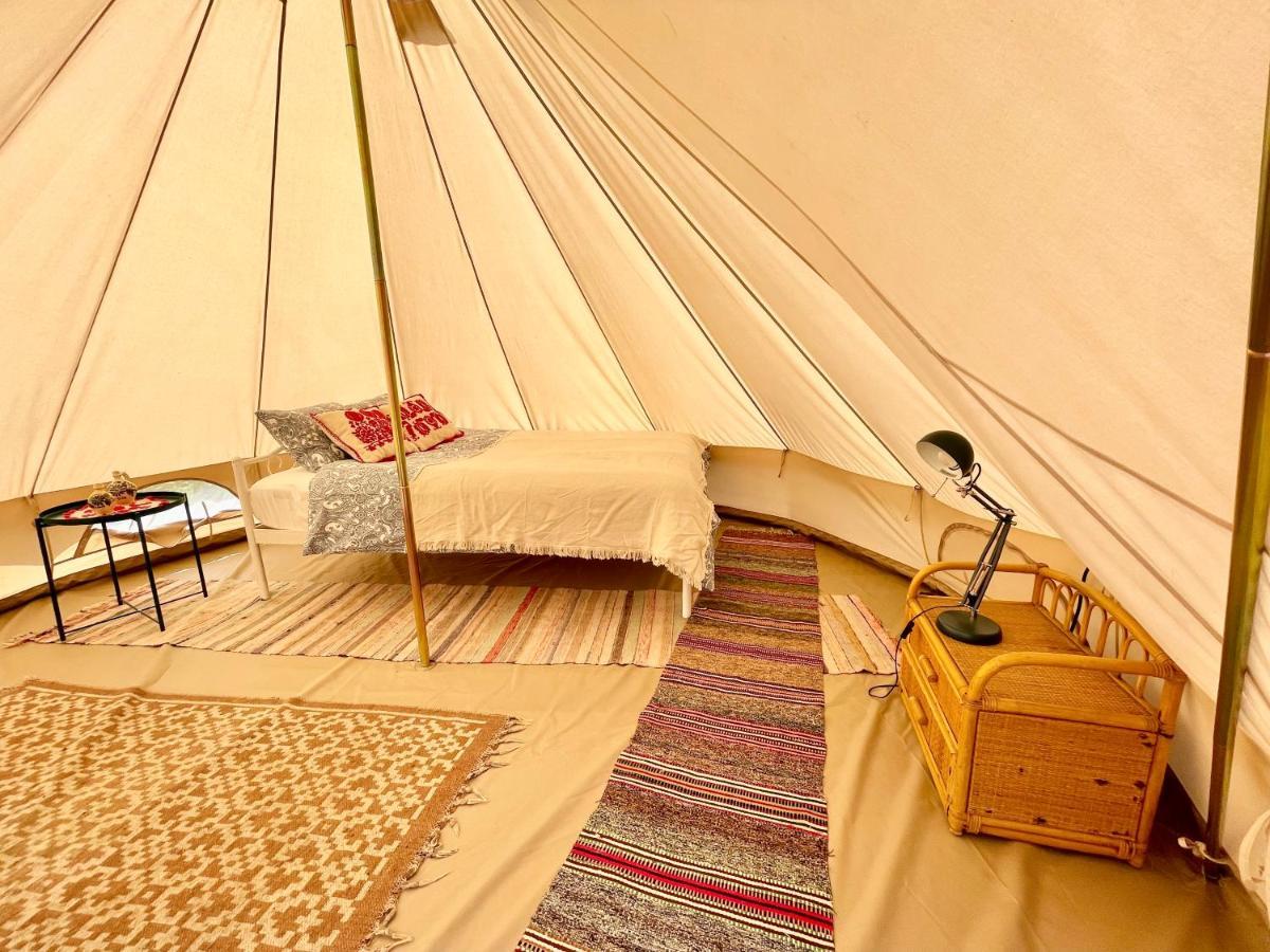 Saschiz 130/Lodging And Glamping المظهر الخارجي الصورة