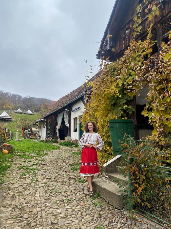 Saschiz 130/Lodging And Glamping المظهر الخارجي الصورة