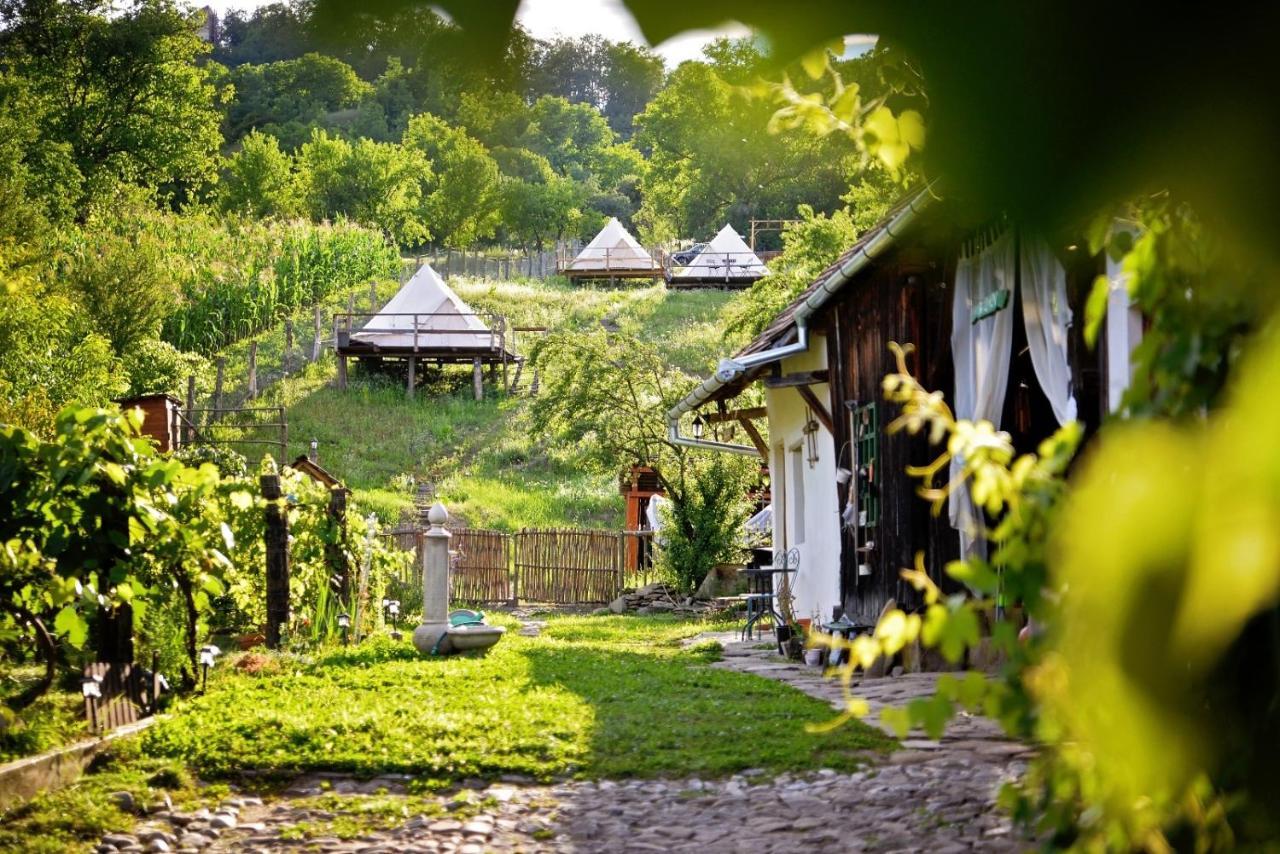 Saschiz 130/Lodging And Glamping المظهر الخارجي الصورة