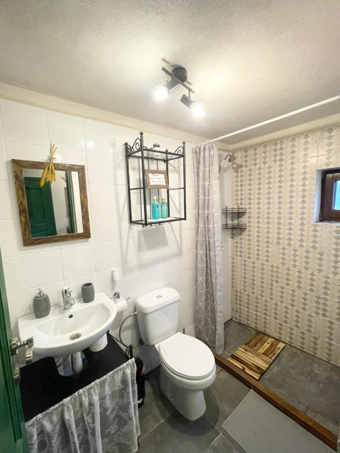 Saschiz 130/Lodging And Glamping المظهر الخارجي الصورة
